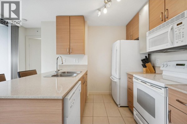 502 977 Mainland Street, Vancouver, BC V6B1T2 Photo 5