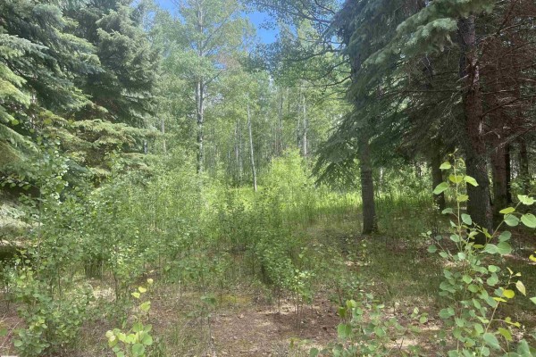 502 Highland Rd, Rural Wetaskiwin County, AB T0C2C0 Photo 5
