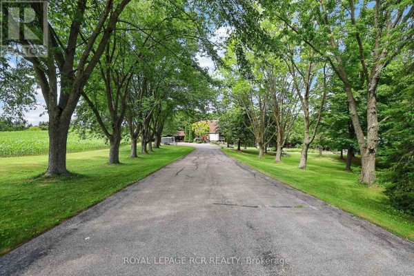 Kitchen - 502 Townline Road, Scugog, ON L0B1A0 Photo 3