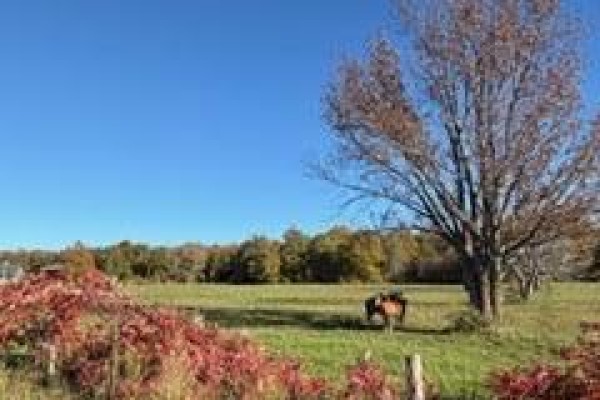 502054 Grey Rd 1 Road, Georgian Bluffs, ON N0H2T0 Photo 3