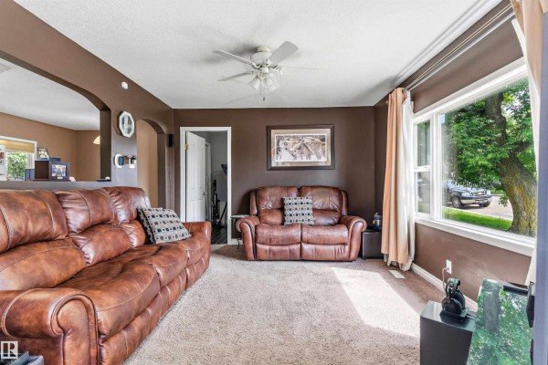 Living room with brown walls, tan carpet, and a large window. - 5024 55 Av, Tofield