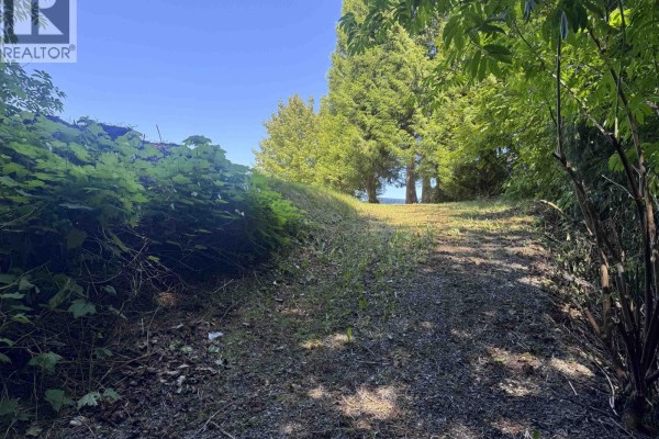 5025 Agar Avenue, Terrace, BC V8G1H9 Photo 2