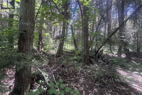5025 Agar Avenue, Terrace, BC V8G1H9 Photo 3
