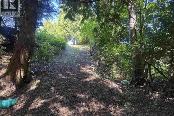 5025 Agar Avenue, Terrace, BC V8G1H9 Photo 5