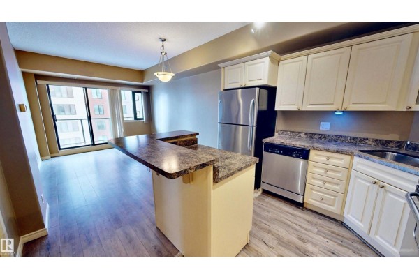 #503 10319 111 St Nw, Edmonton, AB T5K0A2 Photo 3