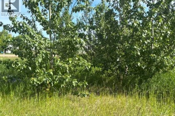 5031 50 Avenue, Woking, AB T0H3V0 Photo 2