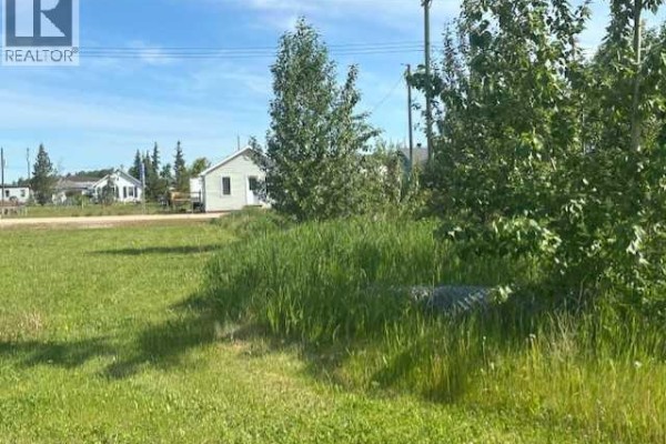 5031 50 Avenue, Woking, AB T0H3V0 Photo 3