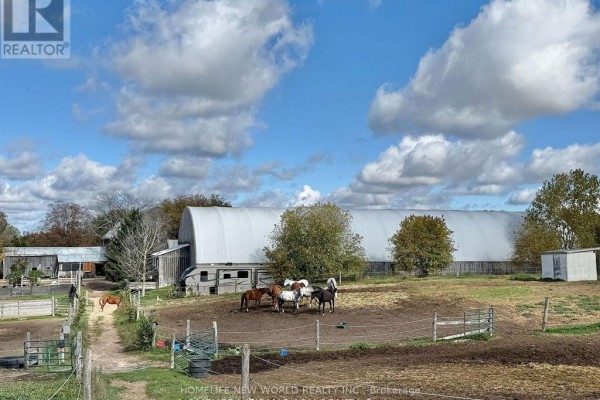 5031 Herald Road, East Gwillimbury, ON L0G1M0 Photo 3