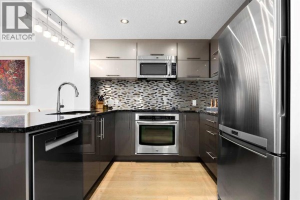 Other - 504, 1110 3 Avenue Nw, Calgary, AB T2N4J3 Photo 4