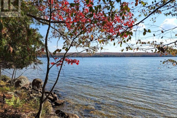 504 Bigwin Island, Lake Of Bays, ON, photo 2