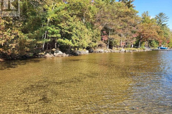 504 Bigwin Island, Lake Of Bays, ON, photo 3