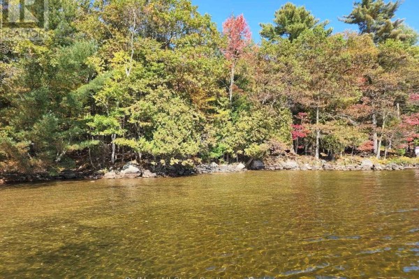 504 Bigwin Island, Lake Of Bays, ON P0A1H0 Photo 4