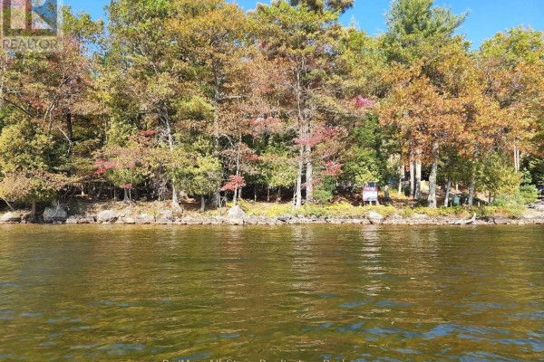 504 Bigwin Island, Lake Of Bays, ON P0A1H0 Photo 5