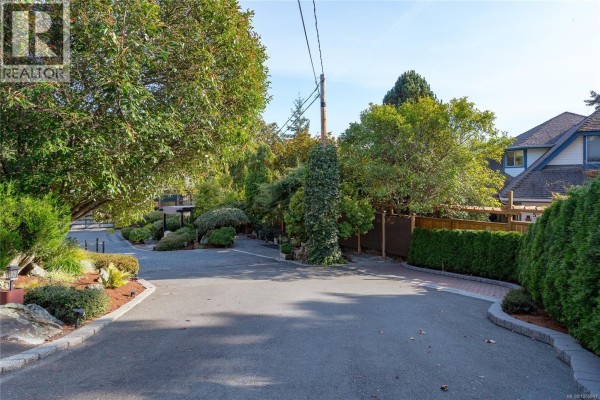Asphalt driveway curves past mature trees, manicured hedges, and a wooden fence. - 504 Langvista Dr, Langford