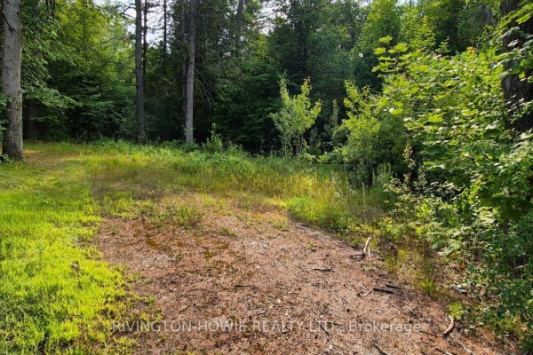 A dirt path leads into a grassy clearing surrounded by trees. - 5045 Opeongo Road, Ottawa