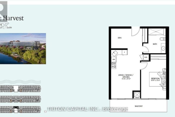 Floor plan of a one-bedroom apartment featuring a living, dining, kitchen area, den, bathroom, and balcony. - 505 - 350 Prince Charles Drive S, Welland