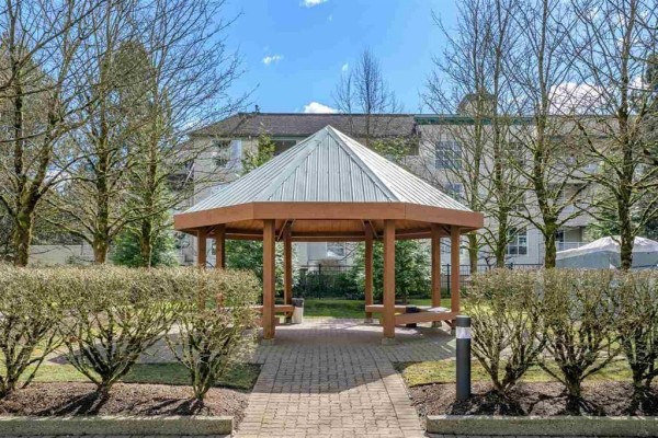505 15038 101 Avenue, Surrey, BC V3R0N2 Photo 3
