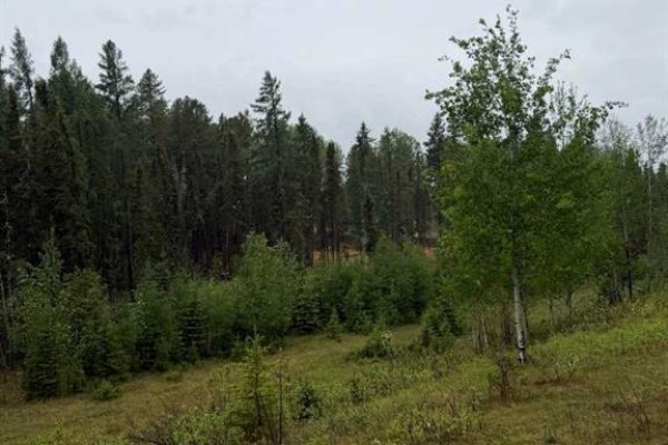505 Clearwater Estates Crescent, Rural Clearwater County, AB T4T2A2 Photo 2