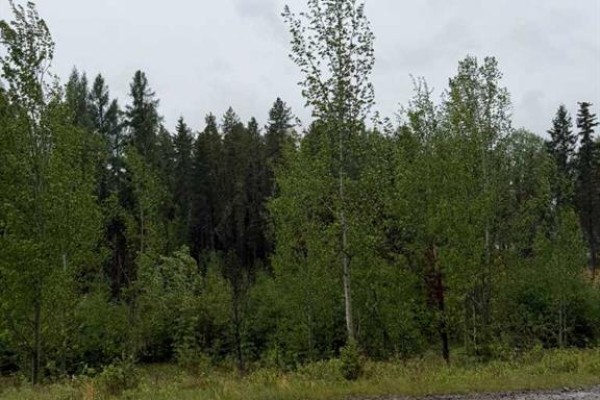 505 Clearwater Estates Crescent, Rural Clearwater County, AB T4T2A2 Photo 3