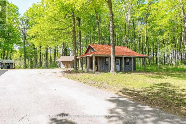 505456 Highway 89 Highway, Amaranth, ON L9V3J5 Photo 5