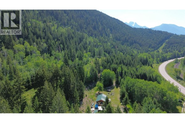 Aerial view of a property with multiple green-roofed buildings nestled amongst dense trees beside a highway. - 5055 95 Highway, Castledale