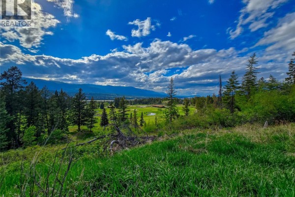 5060 Hot Springs Road, Fairmont Hot Springs, BC V0B1L1 Photo 5
