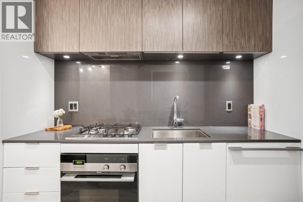 507 209 E 7th Avenue, Vancouver, BC V5T0H3 Photo 3