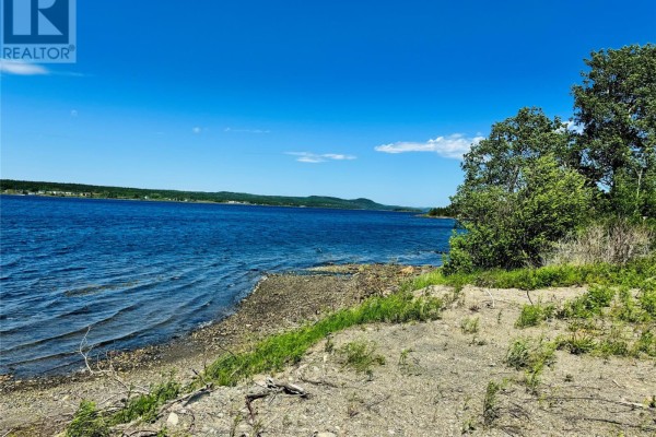 50f Pleasantview Road, Point Leamington, NL A0H1Z0 Photo 3
