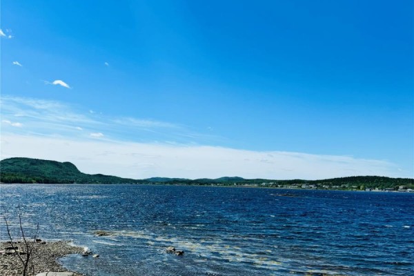 50f Pleasantview Road, Point Leamington, NL A0H1Z0 Photo 4