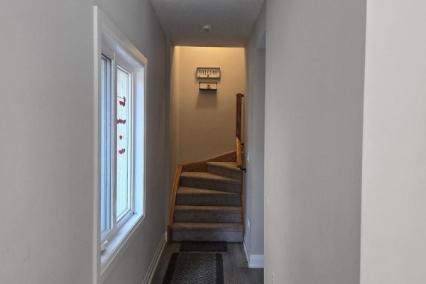 Hallway with light grey walls, a window, and carpeted stairs leading up. - 51 - 40 Zinfandel Drive, Hamilton