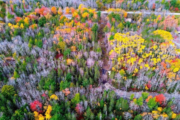 Lots and Land for sale at 51 Morton Drive, Liverpool, NS - MLS® AWWuCk