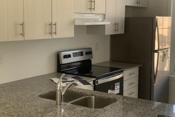Kitchen - 51 Selfridge Way, Whitby, ON L1N0N9 Photo 3