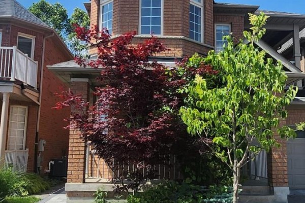Bsmnt - 51 Waldron Crescent, Richmond Hill, ON L3Z0B3 Photo 2
