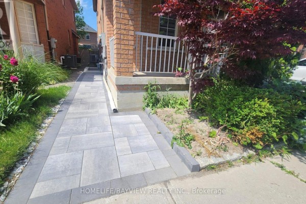 Bsmnt - 51 Waldron Crescent, Richmond Hill, ON L3Z0B3 Photo 3