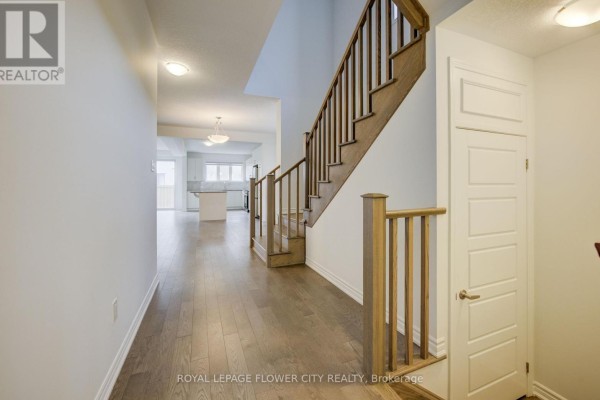 Kitchen - 51 William Nador Street, Kitchener, ON N2E3X8 Photo 5