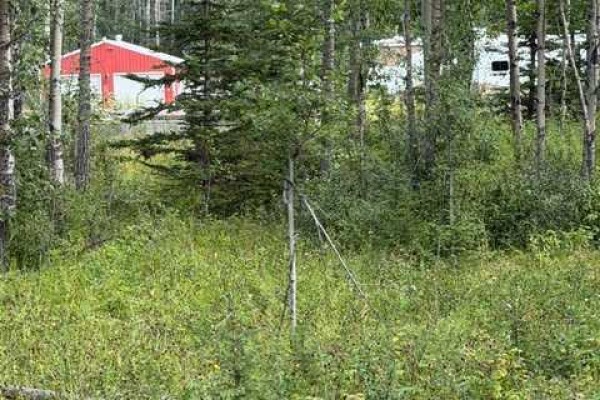 51079 36-0 Township, Rural Clearwater County, AB T0M0M0 Photo 5