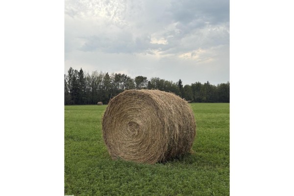 5109 Hwy 616, Rural Brazeau County, AB T0C0P0 Photo 4