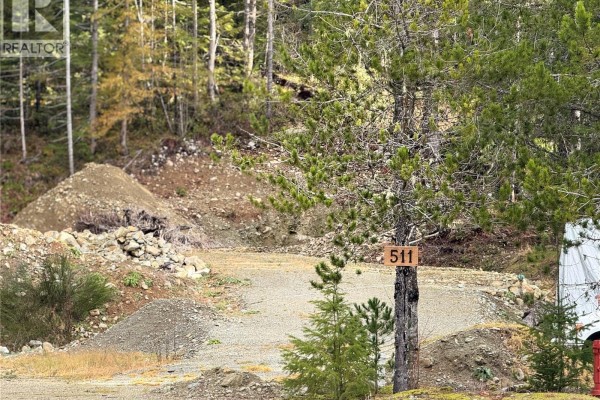 511 Burman Crt, Gold River, BC V0P1G0 Photo 5