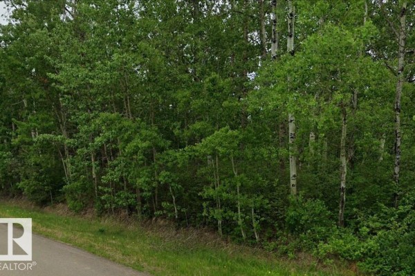 511 Rr 222, Rural Strathcona County, AB T8C1G9 Photo 2
