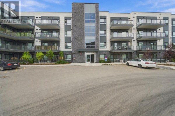 Laundry room - 5117, 20295 Seton Way Se, Calgary, AB T3M3Y9 Photo 3