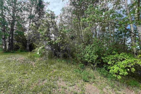 5128 50 St, Sangudo, AB T0A2A0 Photo 4