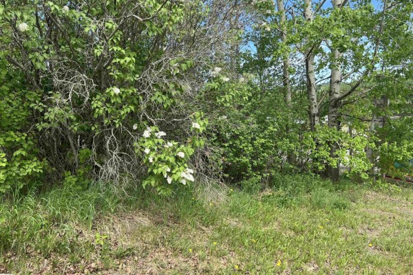 5128 50 St, Sangudo, AB T0A2A0 Photo 5