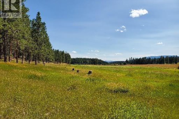 Sunny day with green grass, scattered trees, and a distant forest under blue sky. - 5130 Kikomun-newgate Road, Newgate