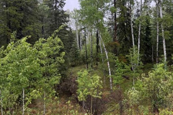 514 Clearwater Estates Crescent, Rural Clearwater County, AB T4T2A2 Photo 2