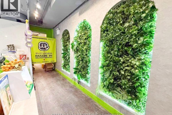 Interior wall with three arched niches filled with artificial green foliage. - 514 Yonge Street, Toronto