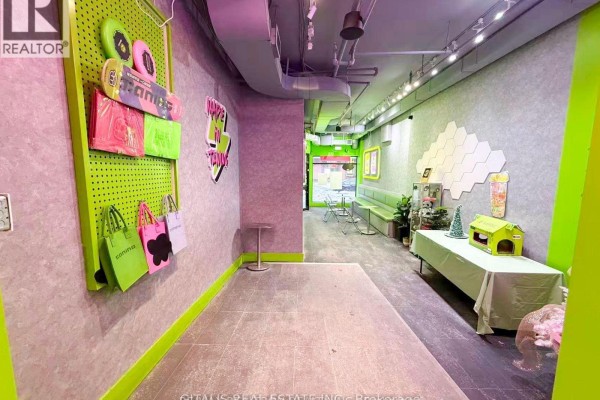 Commercial space with green pegboard holding skateboards and shopping bags. - 514 Yonge Street, Toronto