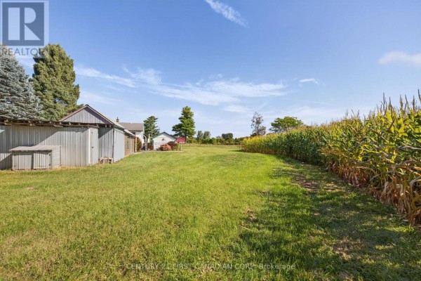 Lawn with shed and cornfield - 5147 Egremont Drive Middlesex Centre