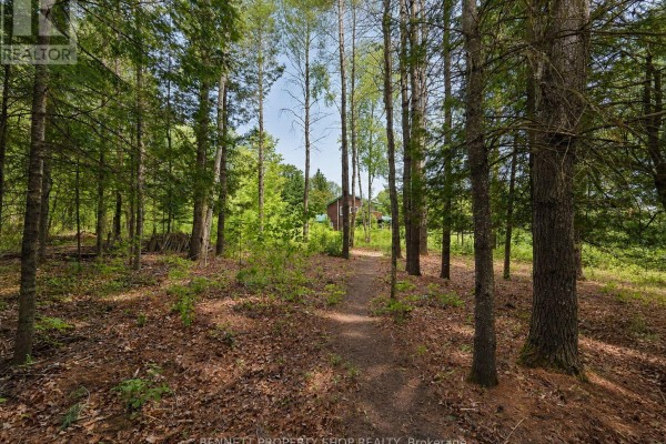 Other - 515 Graphite Bay Road, Greater Madawaska, ON K0J1H0 Photo 3