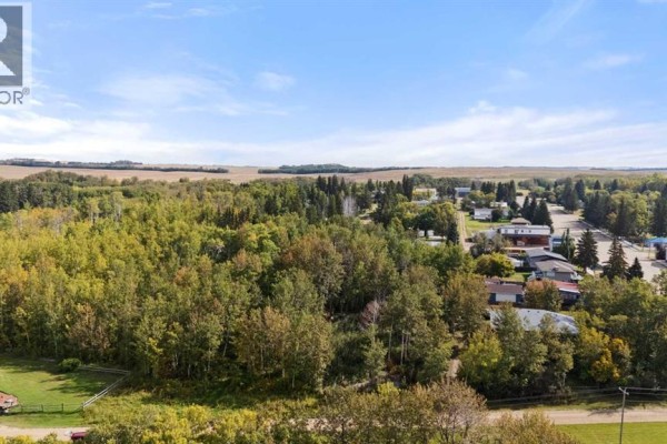 515 Railway Avenue, Ferintosh, AB T0B1M0 Photo 4