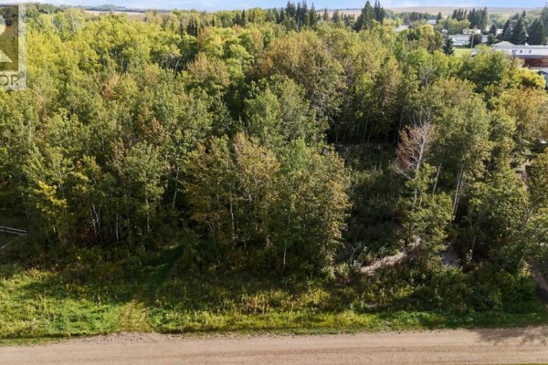 515 Railway Avenue, Ferintosh, AB T0B1M0 Photo 5